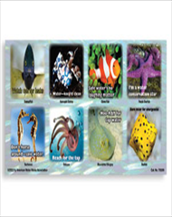 Bill Stuffer: Marine Life Water Conservation Stickers